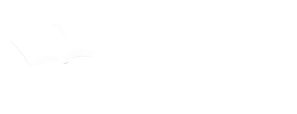 Tourist Book